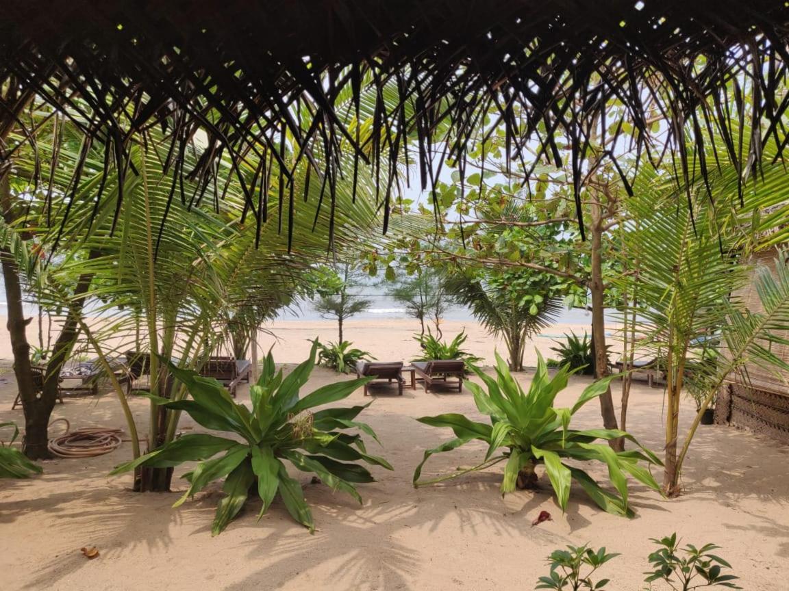 Mariposa Beach Grove Agonda Exteriör bild