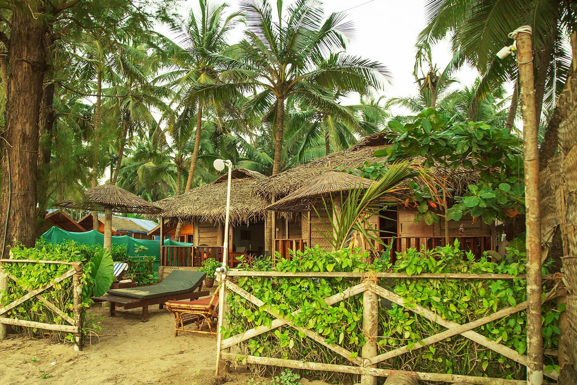 Mariposa Beach Grove Agonda Exteriör bild